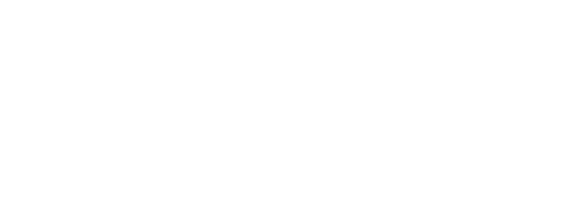 ViroSoft Studio